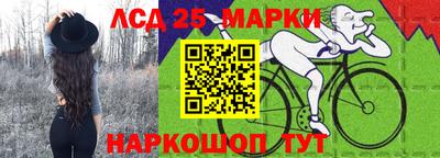 стафф Камышлов