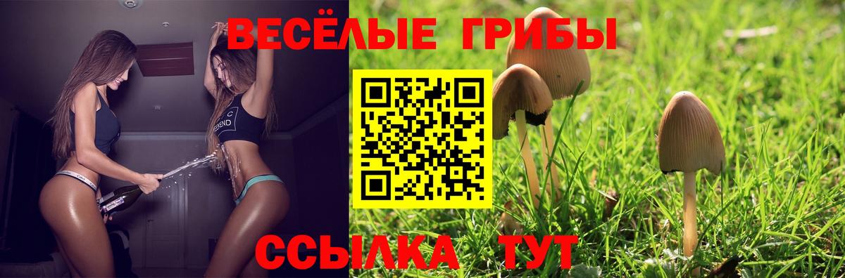 цены наркотик  Вход с VPN  Красноярск  Псилоцибиновые грибы GOLDEN TEACHER 